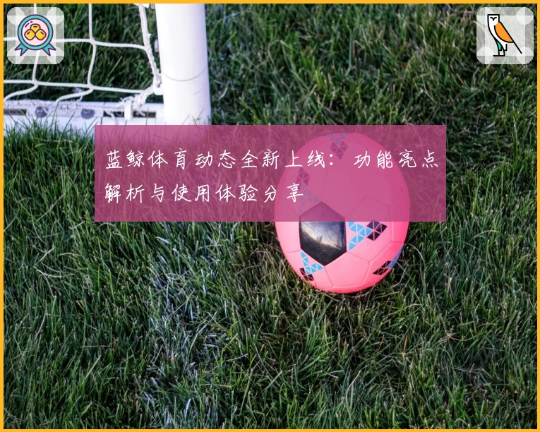 蓝鲸体育动态全新上线：功能亮点解析与使用体验分享