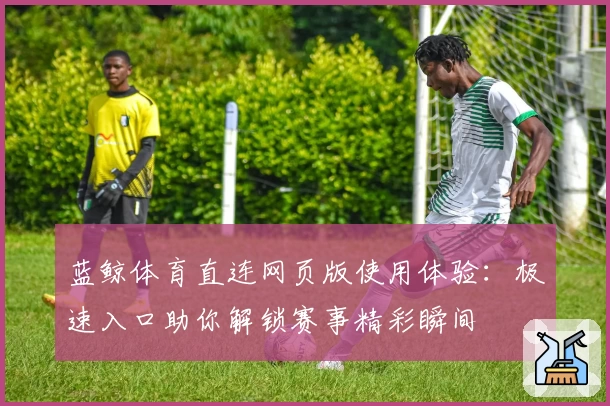 蓝鲸体育直连网页版使用体验:极速入口助你解锁赛事精彩瞬间