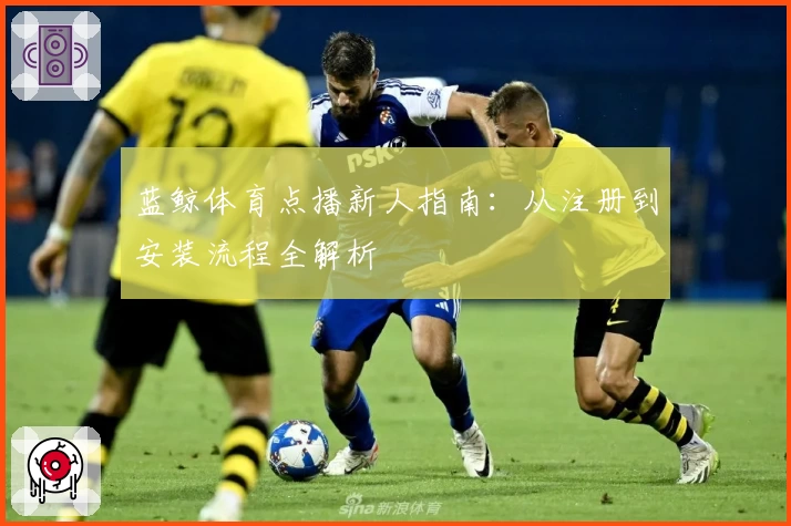 蓝鲸体育点播新人指南:从注册到安装流程全解析