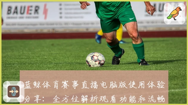 蓝鲸体育赛事直播电脑版使用体验分享:全方位解析观看功能和流畅度评价