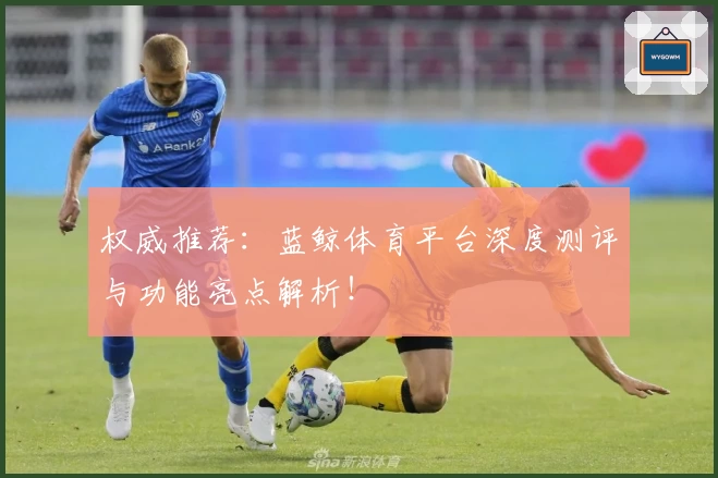 权威推荐：蓝鲸体育平台深度测评与功能亮点解析！