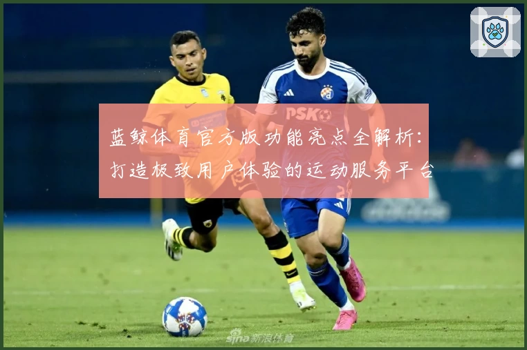 蓝鲸体育官方版功能亮点全解析：打造极致用户体验的运动服务平台