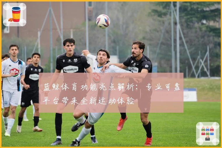 蓝鲸体育功能亮点解析：专业可靠平台带来全新运动体验