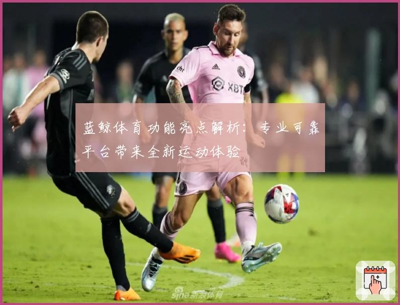 蓝鲸体育功能亮点解析:专业可靠平台带来全新运动体验