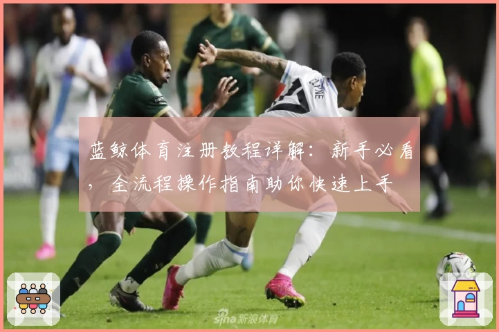 蓝鲸体育注册教程详解：新手必看，全流程操作指南助你快速上手